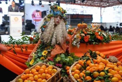 Günü Birlik 25.SEFERİHİSAR MANDALİNA ŞENLİĞİ TURU 