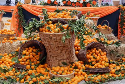 Günü Birlik 25.SEFERİHİSAR MANDALİNA ŞENLİĞİ TURU 