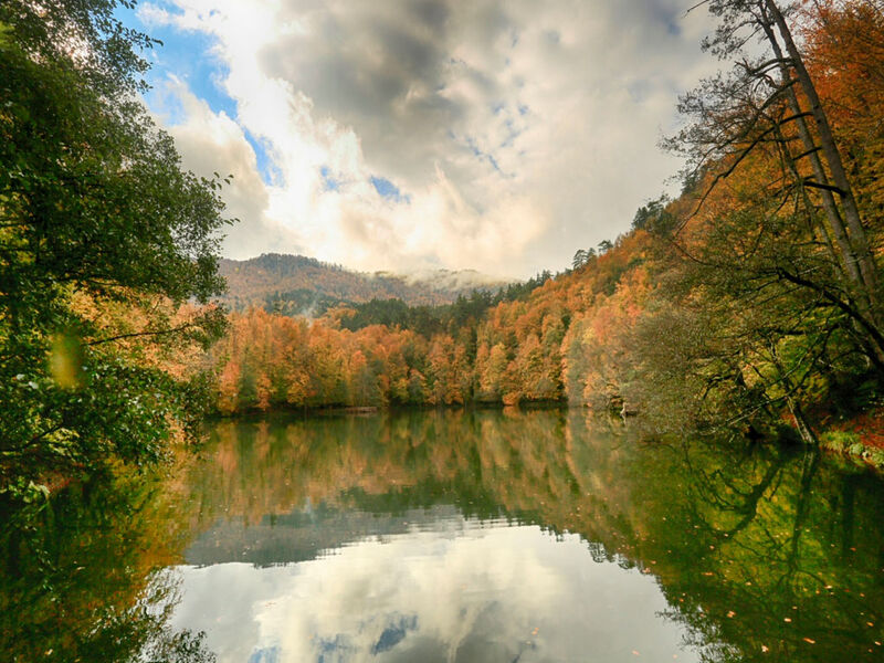 1 GECE KONAKLAMALI MAŞUKİYE ORMANYA SAPANCA BOLU ABANT GÖLCÜK YEDİGÖLLER TURU