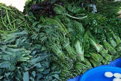 GÜNÜBİRLİK BODRUM ACI OT FESTİVALİ TURU