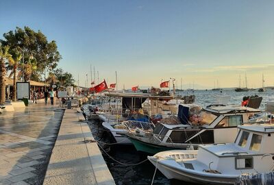 GÜNÜBİRLİK BODRUM ACI OT FESTİVALİ TURU