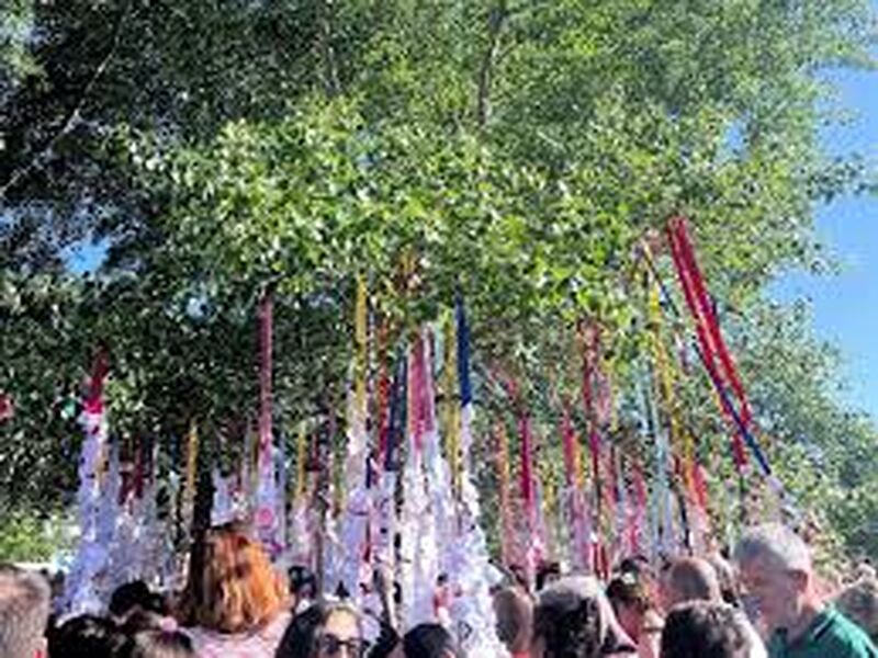 EDİRNE KAKAVA ŞENLİĞİ